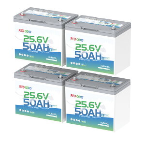 �y����Փ��ʉ��i�{�N�[�|������z�y�g���[�����O���[�^�[�p�œK�I�zRedodo 24V 50Ah �����_�S���`�E���C�I���o�b�e���[ Bluetooth�t�� �g���[�����O���[�^�[�o�b�e���[ �ő�100�|���h�܂ł�24V�g