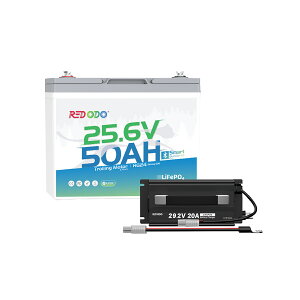 �y����Փ��ʉ��i�{�N�[�|������z�y�g���[�����O���[�^�[�p�œK�I�zRedodo 24V 50Ah �����_�S���`�E���C�I���o�b�e���[ Bluetooth�t�� �g���[�����O���[�^�[�o�b�e���[ �ő�100�|���h�܂ł�24V�g