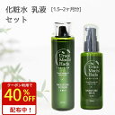 25日迄クーポンで3,069円！ 化粧水 ＆ 乳液 2点 セット うるおいもち肌 保湿化粧水 150ml 保湿乳液 100ml ヒアルロン酸 乾燥肌 無添加 保湿 エイジング コスメ プレゼント 基礎化粧品 化粧品 スキンケア スキンケアセット コスメ ギフト 誕生日 40代 50代 60代 70代