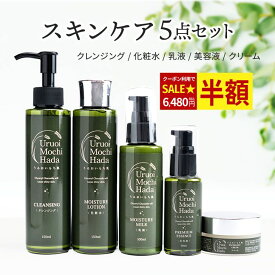 【50％OFFクーポン有！】 化粧水 ＆ 乳液 ＆ 美容液 ＆ クリーム ＆ クレンジング 5点 セット 化粧水 150ml 乳液 100ml 美容液 50ml 美容クリーム 30g クレンジング 150ml キメ エイジング 無添加 化粧品 プレゼント ギフト 基礎化粧品 スキンケア スキンケアセット
