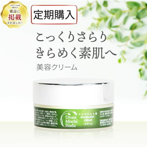 yw40OFFz eN[ 30g N[ tFCXN[ ێN[ iCgN[ VAo^[ ێ GCWO q  Y ׂȂ bϕi ϕi 