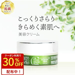 yBF30%offN[|z yeN[ 30gz 邨 N[ VAo^[ ێ tFCXN[ e XLN[ ێN[ h{N[   XLPA  Ƃ 