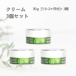 11/2 9:5930|CgobN eN[ 30g 3 邨 N[ VAo^[  ێ eN[ N[e tFCXN[ ێN[ iCgN[ XLPA q