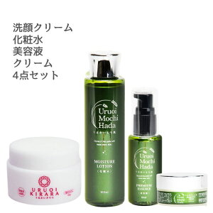 ���ϐ����N���[�������e�t�����N���[�� 4�_ �X�L���P�A�Z�b�g ���ϐ� 150ml �N���[�� 30g ���e�t 50ml ���N���[�� 100g �ێ����ϐ� �i�C�g�N���[�� �X�L���P�A ��b���ϕi ���Y�� ���y �R�X��