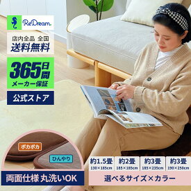 【REDREAM 公式】ラグマット 厚手 洗える 低反発 厚み約25mm リバーシブル 通年 防音