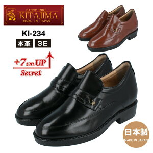 KITAJIMA kCHƏKI-234q[AbvV[Y rWlXV[Y Y7cmUP 3E JK[v Xb| {v vC {  