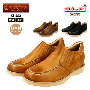 KITAJIMA kCHƏKI-523q[AbvV[Y JWAV[Y Xb| Y4E TChSA {v vC { 5.5cm UP