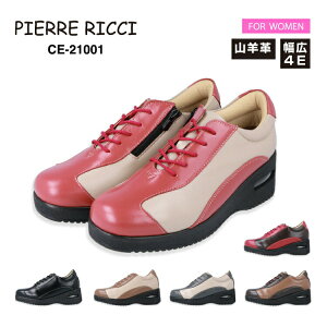 PIERRE RICCI sG[b`CE21001 GA[EH[LO RtH[gV[Y fB[XyEr 4E Rrv {v