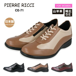 PIERRE RICCI sG[b`CE71_炩Rrv y RtH[gV[Y fB[X5E {v {