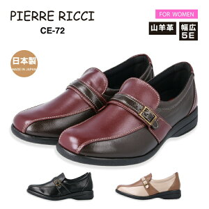 PIERRE RICCI sG[b`CE72_炩Rrv Xb| RtH[gV[Y fB[X5E {v { y