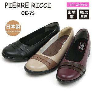 PIERRE RICCI sG[b`CE73Rrv  5E EH[LOpvX fB[X{v { y