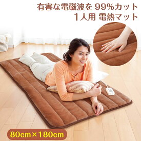 ＼スーパーSALE 6/5(水)23:59まで10％オフクーポン・5倍Pアップ／電磁波99％カット 一人用電熱マット ブラウン タイマー付 一人用 ホットマット 床暖房 電気毛布 あったか 電気敷毛布 冷え ZMT75CT 電磁波カット 電磁波防止 敷き毛布 自宅 子供部屋 受験生 ゼンケン