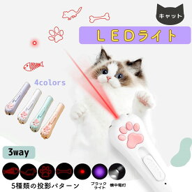 キャット LEDライト 4カラー ホワイト ピンク パープル ブルー 猫 ねこ 玩具 懐中電灯 USB充電 猫じゃらし おもちゃ 遊び 運動 光る ブラックライト 懐中電灯 ストレス解消 運動不足 送料無料