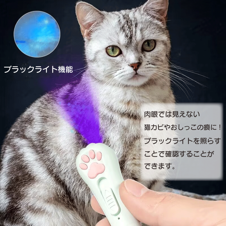 楽天市場】キャット レーザーポインター 4カラー ホワイト ピンク