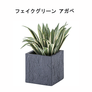 _{[̂XSi10{|CgAbvI^tFCNO[ AKx W63×D63×H50cm  lHϗt ϗtA CeA  [t  lC 