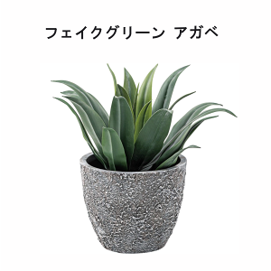 _{_tf[聚ȃN[|E5{PAbvI^tFCNO[ AKx W63×D63×H50cm  lHϗt ϗtA CeA  [t  lC 