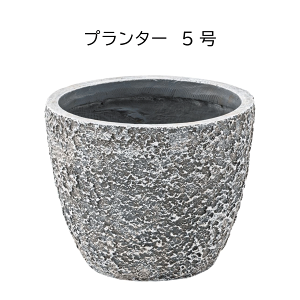 _{5̂XSi10{|CgAbvI^v^[ Aؔ 5p W25×D25×H20cm  _ Vv O[|bg A  lC Mtg v[g