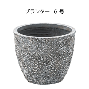 v^[ Aؔ 6p W31×D31×H25cm  _ Vv O[|bg A  lC Mtg v[g 