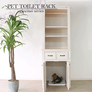 ybggC[bN ygiocosozzCg bN [bN ybgpƋ gC S~[ ؐ pC Jg[Ƌ i` kJg[ ybg 