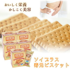 _X[p[SALE^ALLi|Cg5{AbvI^\CvXrXPbg  13(40g)×6 5ZbgY َq V  Ђ S} z 哤GLX NbL[ u