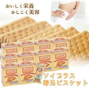 _X[p[SALE^ALLi|Cg5{AbvI^\CvXrXPbg  13(40g)×6 10Zbg Y َq V  Ђ S} z 哤GLX 哤 NbL