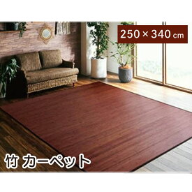 ＼本日 ゼロのつく日★店内全品★10倍ポイントアップ中！／竹 ラグ カーペット ダークブラウン 250×340cm「ユニバース」 竹無地 糸なしタイプ 無垢材 質感 自然素材 抗菌 防臭 丈夫 ひんやり 耐久性 シンプル サスティナブルな素材 送料無料