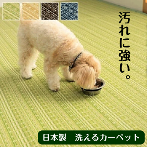 { 􂦂  J[ybg O Y v ۃXv[Ή x 􂢂ł ł Jrɂ oɂ rO _CjO q  woJ