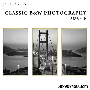 _C[OXӍՁ11/16()23:59܂Ł10N[|&5{P^A[gt[ CLASSIC B&W PHOTOGRAPHY 3Zbg 50x90x4x0.3cm CeA z A[g A[gpl rO  v[g  