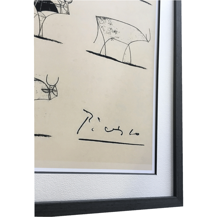 ピカソPablo Picasso リトグラフ 1930年制作 ポスター 額縁入り