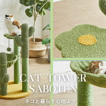 楽天市場】キャットタワー 緑の通販