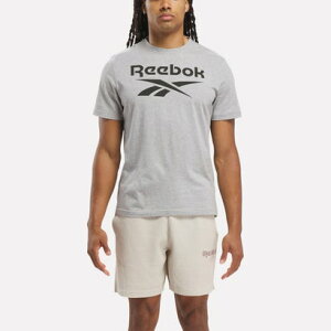 y[{bNz[{bN ACfeBeB rbOS TVc / REEBOK IDENTITY BIG LOGO TEE i~fBAO[j