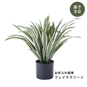 yiztFCN O[ ϗtA AKx(50cm) A O[ green ȒP t v^[t  킢 K[f   RpNg