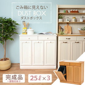 楽天市場 隠す収納 ゴミ箱 インテリア 寝具 収納 の通販