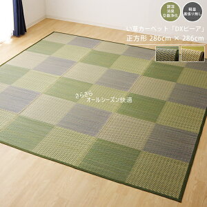 O 䑐O 􃉃O J[ybg イ I[V[Y  _ fUC ⊴ ĉK  R ` 4.5 4 286×286cm