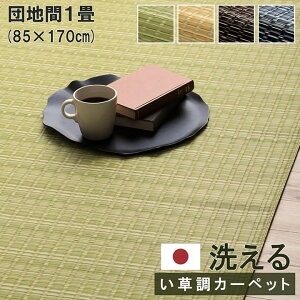 Ő􂦂 \ O J[ybg cn 1 85×170cm ` { Y W[ V[g AEghA Lv OsO  Jo[ ې  O ybg O[ x[W
