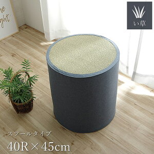 Xc[ | ֎q CX `FA[ `FA a40cm 45cm 䑐   낮 \t@  ~J K  炳 R C  L Vv VRf u[ O[ M