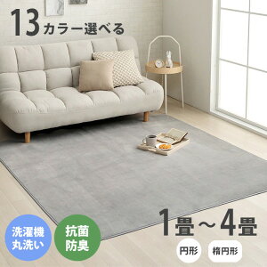 ラグ 洗える ラグマット おしゃれ 楕円形 円形 丸型 92×185 130×185 185×185 200×250 200×300 ラグマット オールシーズン コンパクト 軽量 ホットカーペット カバー カーペット 滑り止め 春 夏 秋 冬