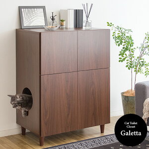 LbgnEX L lR gC ybg  Ƌ rO[ ObY[ lR[ GT[ |y ɂ ȃXy[X 1l炵 [ 