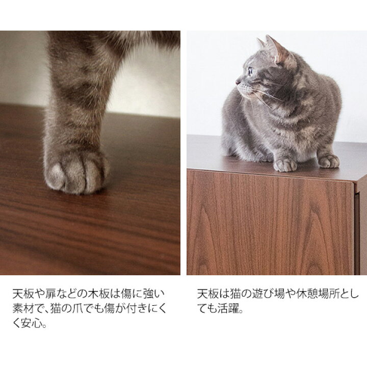 楽天市場 キャットハウス 猫 ネコ トイレ ペット お家 家具 リビング収納 グッズ収納 ネコ砂収納 エサ収納 お掃除楽 傷がつきにくい 省スペース １人暮らし ワンルーム おしゃれ Reech Online