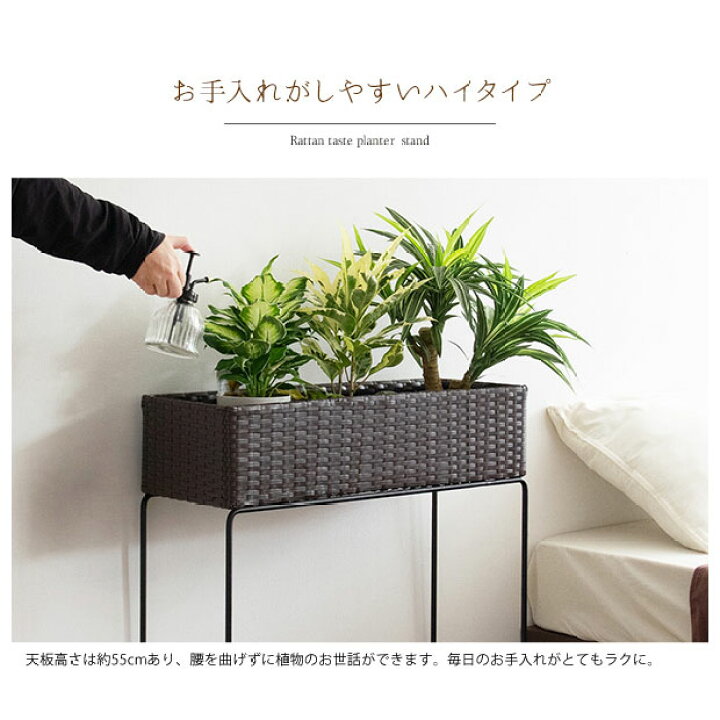 楽天市場 プランター スタンド 鉢 ラック グリーン Green 緑 観葉植物 収納 棚 室内 人口ラタン 籐 シンプル アイアン おしゃれ ディスプレイ オフィス リビング 1人暮らし ワンルーム リビング 玄関 Reech Online 楽天市場 プランター スタンド 鉢 ラック グリーン Green 緑 観葉植物 収納 棚 室内 人口ラタン 籐 シンプル アイアン おしゃれ ディスプレイ オフィス リビング 1人暮らし ワンルーム リビング 玄関 Reech Online