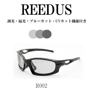 REEDUS R002 TOX Ό@TOX u[CgJbg  싅 ނ St@fB[X v[g P[X͕ʔ@n[[@X|[c
