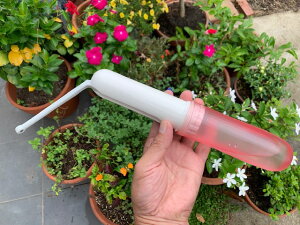 gѓd@Lv@o@kЁ@RpNg dr@@Вܕt@nfB@