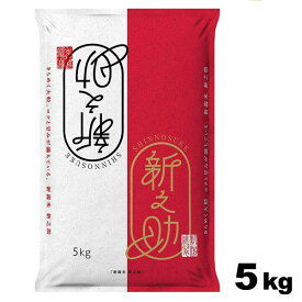 【令和5年産】新潟県産 新之助 5kg 精米 新潟米 白米 産地直送