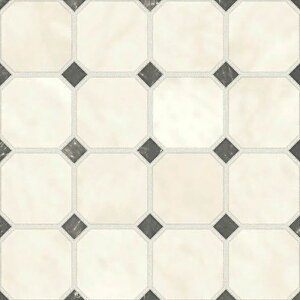 yő2000~N[|zNbVtA VR[ |[ iԁFE1065 hD[ StonePlain Xg[v[ zCg 1.8mm/182cm |[ Ponleum2024-2027 RECX R 