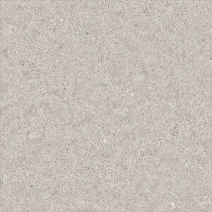 NbVtA VR[ |[ iԁFE1075 eBXg[ StonePlain Xg[v[ O[ 1.8mm/182cm |[ Ponleum2024-2027 RECX R ώf_ hJ