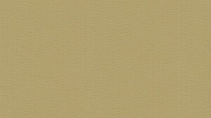yő2000~N[|zNbVtA 1mȏ10cmPʐؔ  iԁFCF3737  CFV[g-P NW ؖڕ O[ 1820mm S2.3mm SHEET CLLECTION CF2024-2027 RECX R Ռz ybgΉ h