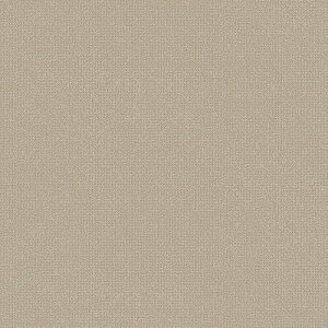 NbVtA 1mȏ10cmPʐؔ  iԁFCF3772 WF CFV[g-P NW ہEn O[ 1820mm S2.3mm SHEET CLLECTION CF2024-2027 RECX R Ռz ybgΉ h hJr