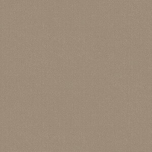 NbVtA 1mȏ10cmPʐؔ  iԁFCF3773 WF CFV[g-P NW ہEn uE 1820mm S2.3mm SHEET CLLECTION CF2024-2027 RECX R Ռz ybgΉ h hJ