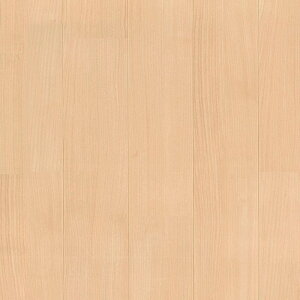 yő2000~N[|zNbVtA 1mȏ10cmPʐؔ  iԁFCF9643 o[` CFV[g-H ؖڕ x[W 1820mm S1.8mm SHEET CLLECTION CF2024-2027 RECX R h hJr Ǝd