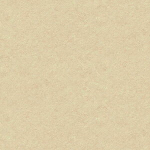 NbVtA 1mȏ10cmPʐؔ  iԁFCF9665 N}}[u CFV[g-H Ζڕ x[W 1820mm S1.8mm SHEET CLLECTION CF2024-2027 RECX R h hJr Ǝdグ CF NbV